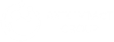 Anik Impact Group (ANIG)